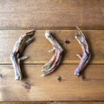 Pawmeal Duck Raw Bones Feet With Parsley 2 1240x1240
