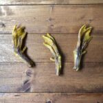 Pawmeal Duck Raw Bones Feet With Turmeric And Basil 3 1240x1240