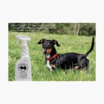 Clean & Clear Coat & Bed Spray Mint Tree