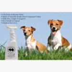 Daily Odor Eliminating Spray Tangerine Tree