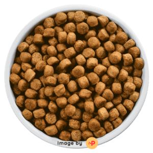 Bowl Of Kibbles