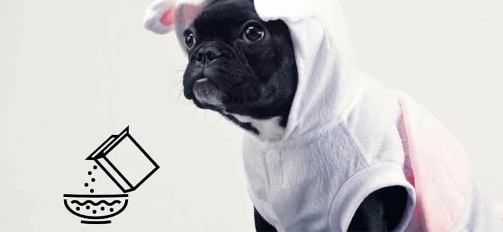 Pawmeal - How to Read Pet Food Labels