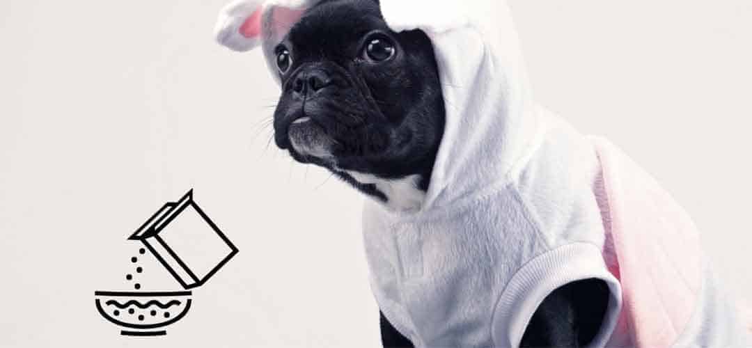 Pawmeal - How to Read Pet Food Labels