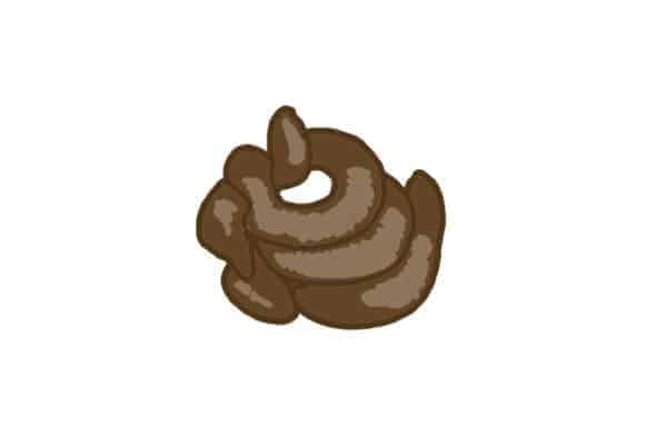 Poop Meaning - Soft Loose Stools - By Pawmeal