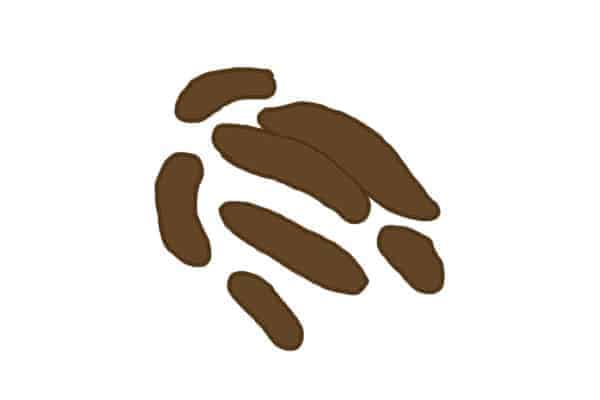 Poop Meaning - Large Amounts Stools - By Pawmeal