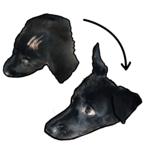 Rara the Singapore Special