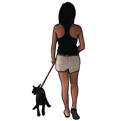 Volunteering with animal shelters as foster parents