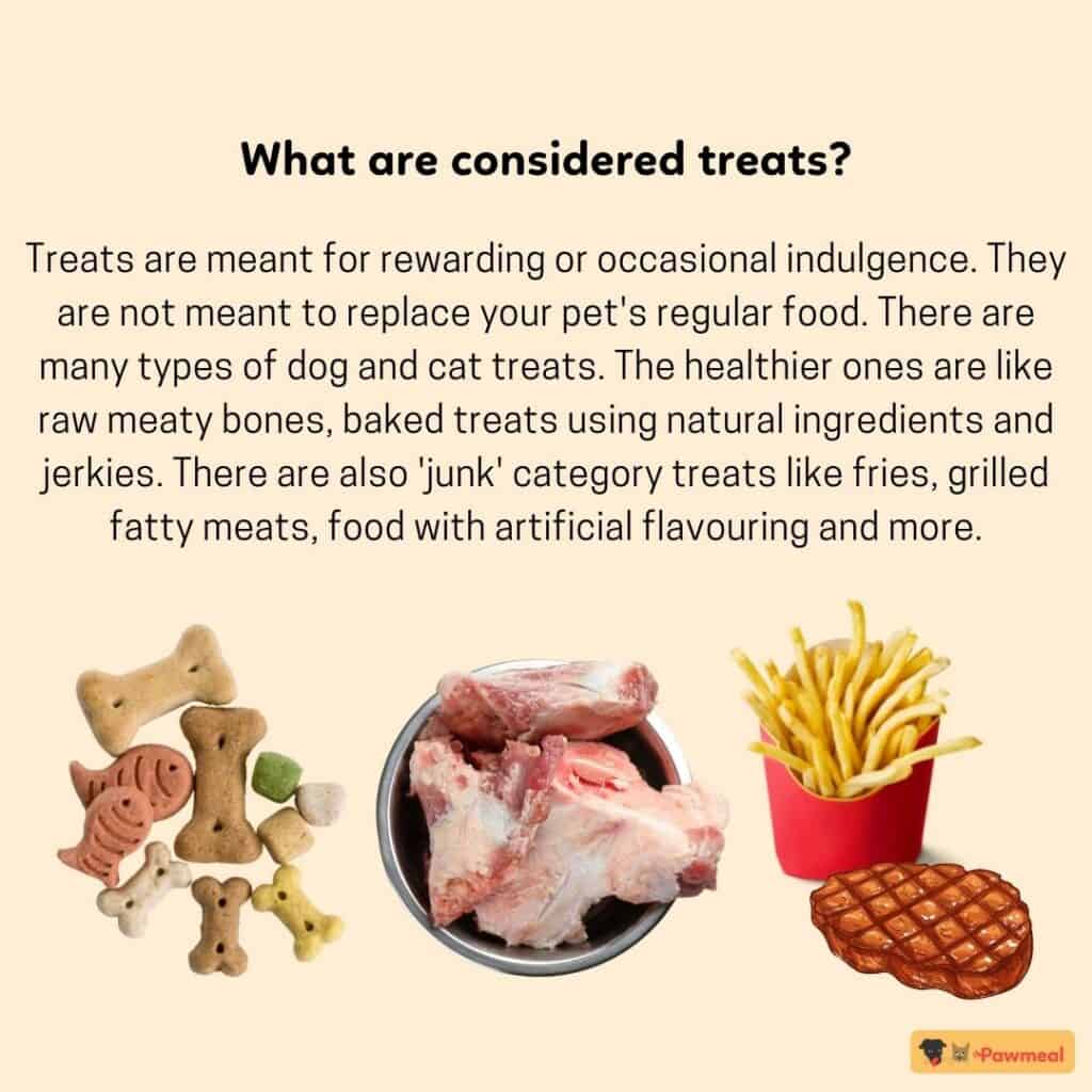 Feeding Your Dog Treats With the 10% Golden Rule