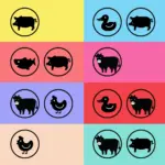 Pawmeal varies proteins for your dog