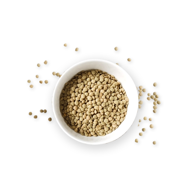 Lentils