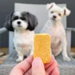 Pawmeal - Mission Farms Freeze Dried Raw Dog Food - Salmon and Pumpkin