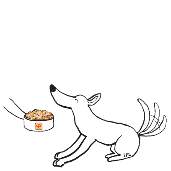 Pawmeal's Assorted Mixed Flavours ©