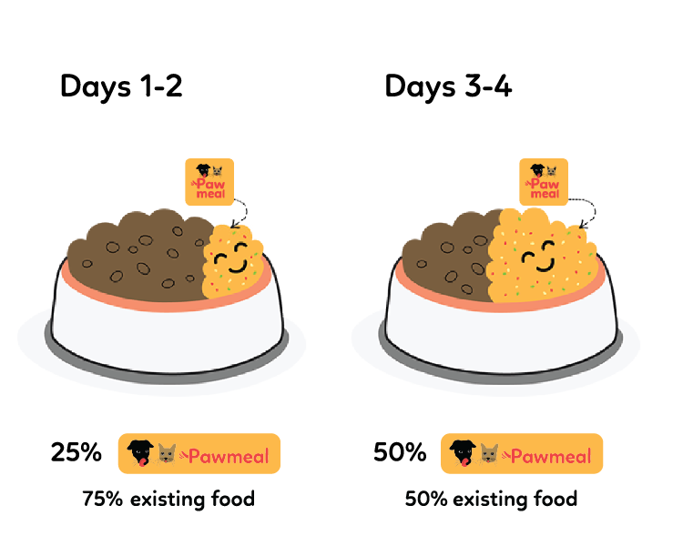 Transitioning to Pawmeal Days 1-4