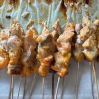 Pawmeal Salmon Satay for Dogs